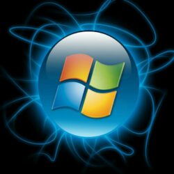 Microsoft Windows: особенности и установка