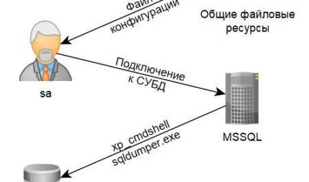 Разнообразие моделей Toyota: от компактных до внедорожников