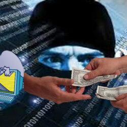 Сколько стоит новая Toyota? Обзор цен и моделей на 2023 год