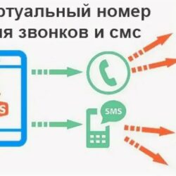 Почему выезд на перекресток на красный может стать вашей худшей ошибкой?