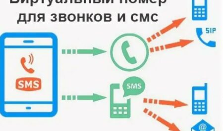 Красный свет — стоп-сигнал или вызов к действию? Ответственность за проезд на красный свет