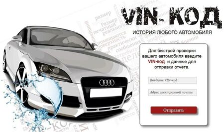 Как измерить влажность почвы: практическое руководство для садоводов