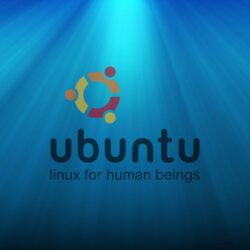 Тебойл 5W40: Что думают водители о масле, которое обещает идеальную защиту?