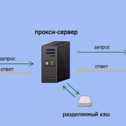 Как жить без аккумулятора: альтернативные источники энергии для вашего автомобиля