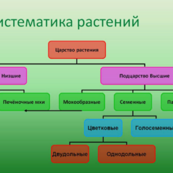 Что такое систематика