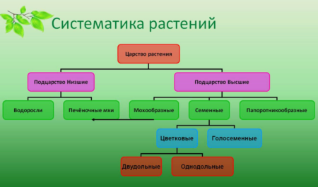 Бугатти Шерон: Искушение на колесах и его стоимость в рублях