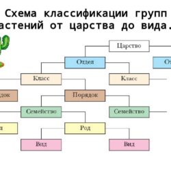 Самые дешевые иномарки: доступный комфорт за ваши деньги