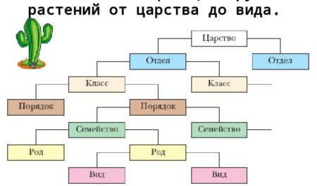Самые дешевые иномарки: доступный комфорт за ваши деньги