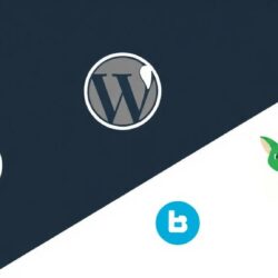 Системы управления контентом (CMS): WordPress, Tilda, 1С‑Битрикс — как выбрать платформу для сайта