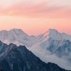 Laravel Octane для высокой нагрузки: ускоряем приложение без потери надежности